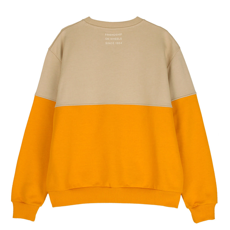 Colour-block sweatshirt (Arena)